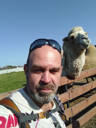  ,   , 50 ,   ,   