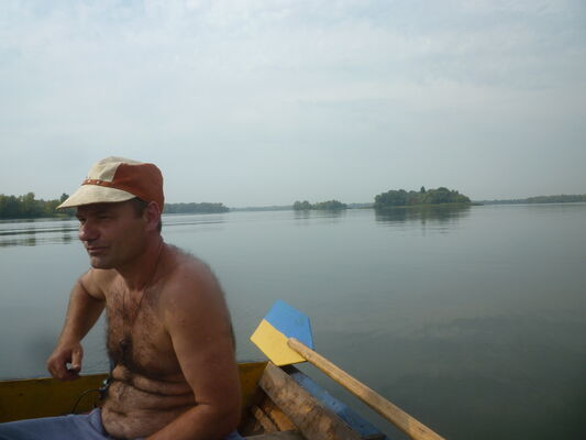  ,   Nestor, 56 ,   ,   , c , 