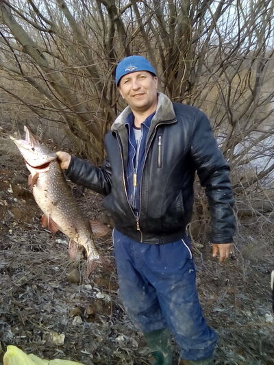  -,   ANDRE, 52 ,   