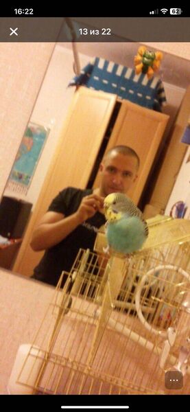  ,   Amur, 40 ,     , c 