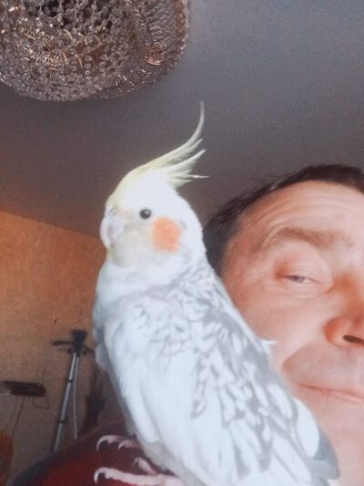  ,   , 47 ,     , c 
