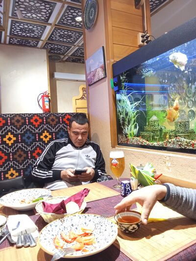  ,   ZATOY, 36 ,   ,   
