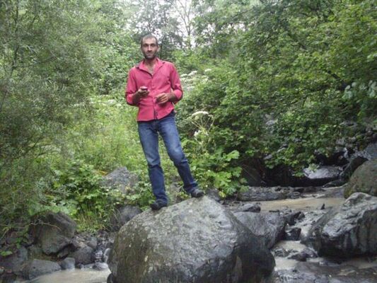  ,   Avo, 40 ,   