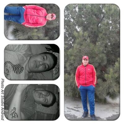  ,   The end, 43 ,   