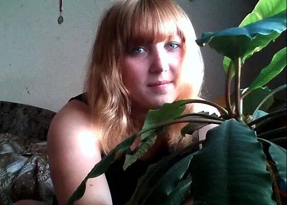  29574460  , 35 ,    -