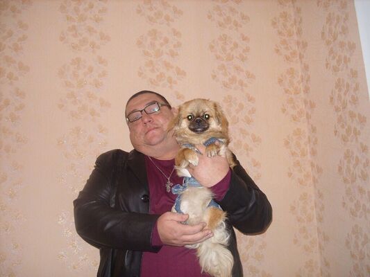  ,   , 52 ,   ,   , c 