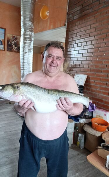  ,   , 56 ,   ,   