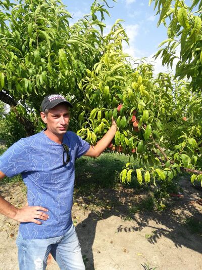  ,   , 38 ,   ,   , c , 