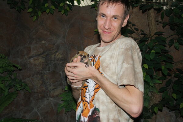  ,   , 41 ,   ,   , c 