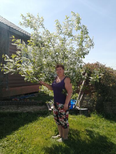  ,   , 54 ,   ,   , c 