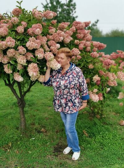  ,   , 54 ,     , c 