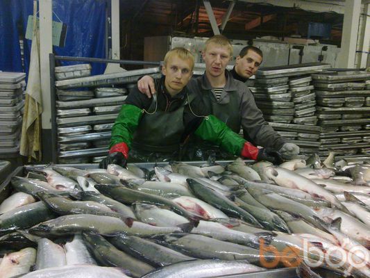  1799140  ORLIK, 40 ,    