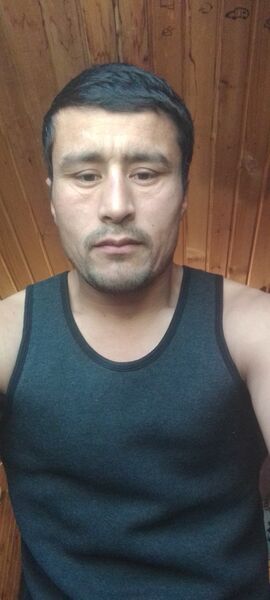  -,    , 36 ,   ,   