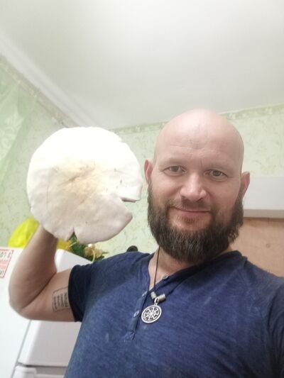  --,   , 46 ,   ,   , 