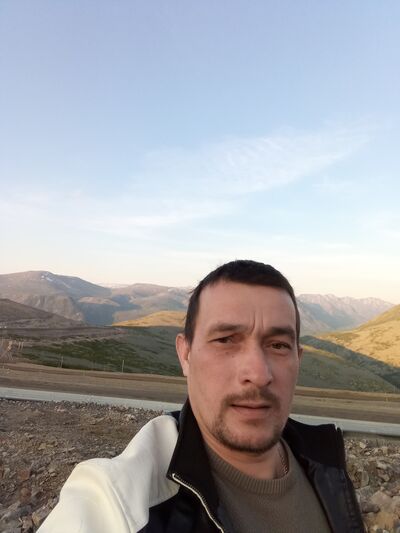  -,    , 43 ,   ,   