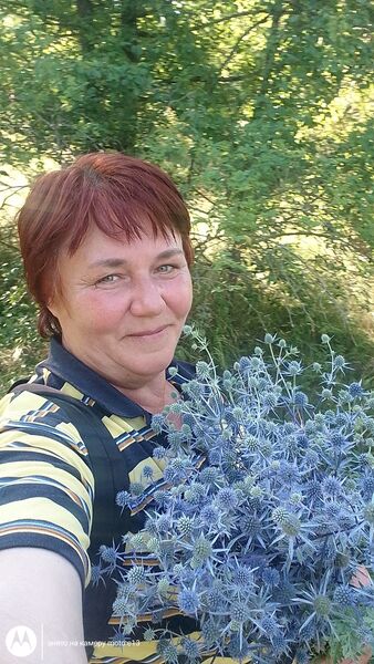  ,   , 54 ,     , c , 