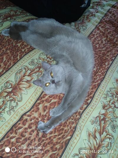  ,   , 40 ,   ,   , c , 