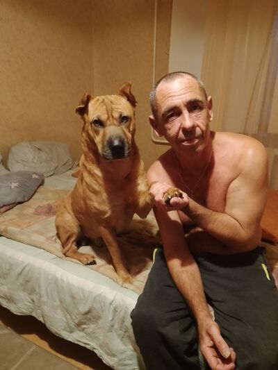  ,   , 55 ,   ,   
