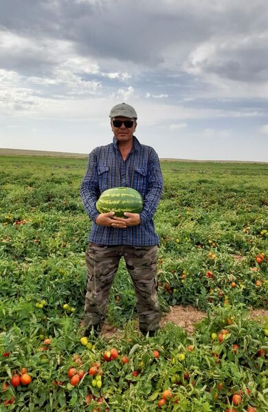  ,   , 45 ,   ,   , c , 