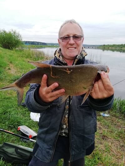  ,   , 58 ,   ,   
