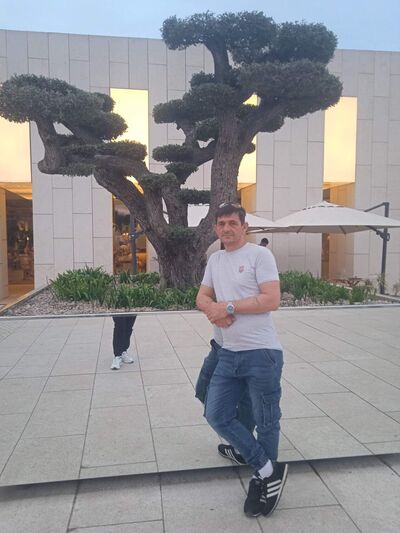   ,   , 53 ,  
