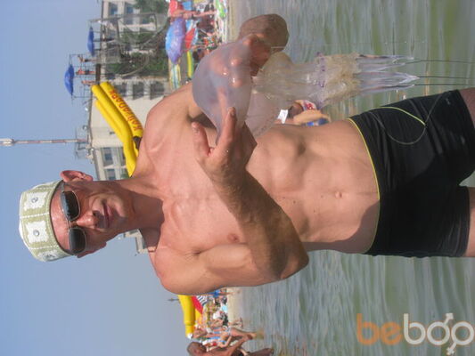  ,   Gregor9691, 56 ,   ,   , c 
