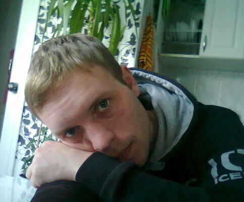  ,   , 41 ,   
