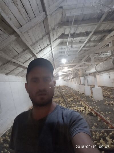  ,   , 42 ,  