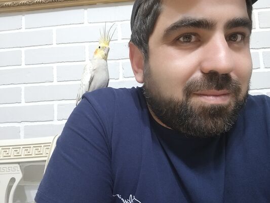  ,   , 36 ,   ,   
