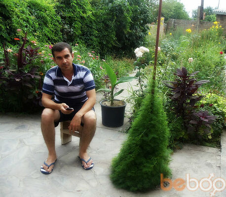 ,   Suren, 50 ,   ,   , c 