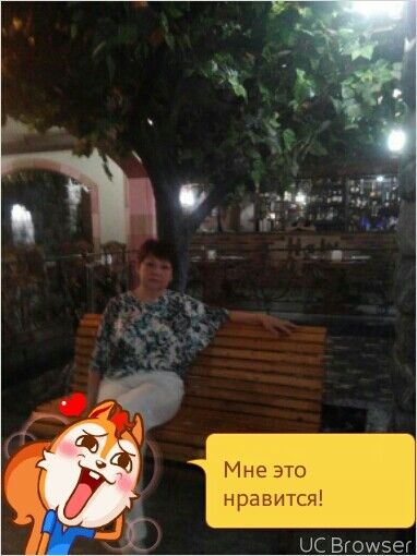  7988610  , 65 ,    