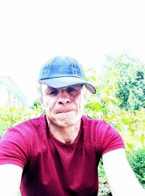  --,   Stipan, 41 ,   ,   , c 