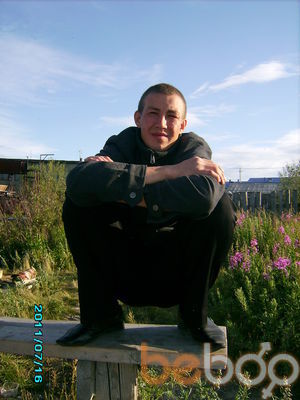  ,   Kot, 40 ,  