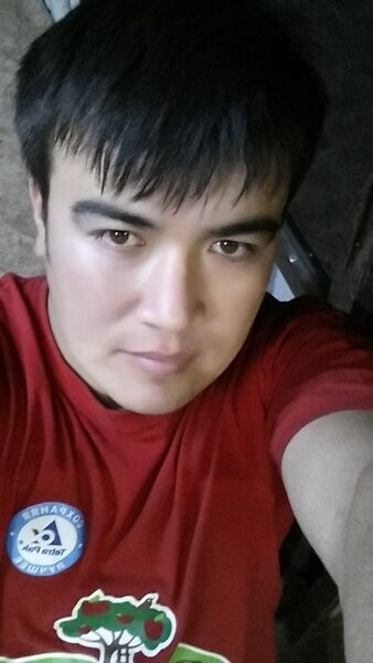  ,   89608186896, 33 ,  