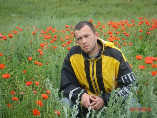  ,   , 41 ,   