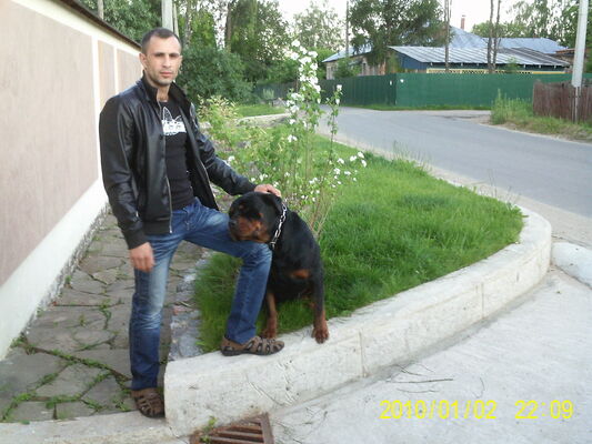  ,   Denis, 41 ,   ,   , c 