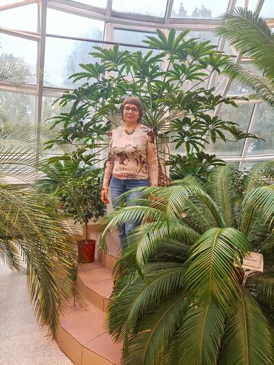  -,   , 58 ,   ,   , c 