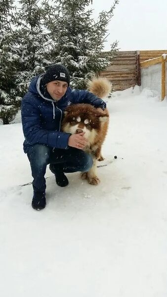  ,   Sergey, 37 ,   ,   