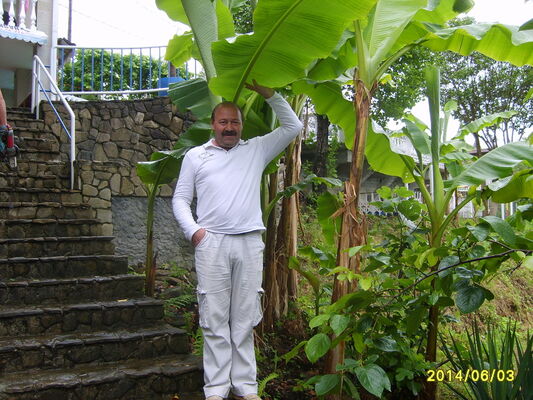  ,   , 59 ,   , 