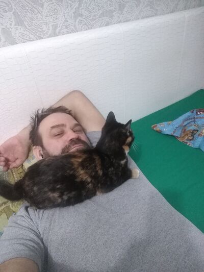  ,   , 51 ,   ,   