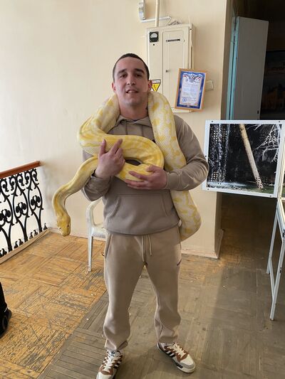  ,   , 29 ,   c 