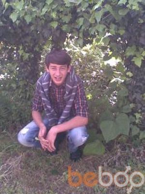 ���������� ������, ���� ������� Mirza, 31 ���, ������������ ��� ������, ����� � ���������, c�������� ���������