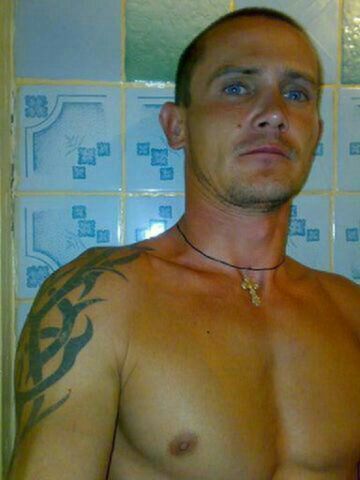  43306480  , 41 ,    