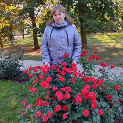  ,   , 48 ,   c 