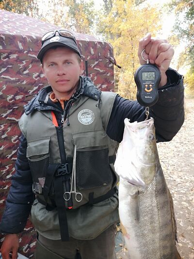  ,   Sergey, 42 ,   ,   , c 