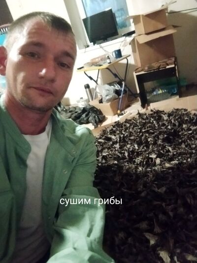  ,   , 41 ,     , c , 