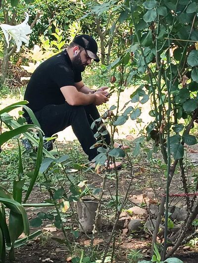 ,   Asim, 35 ,   c 