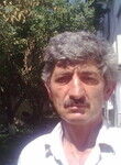  ,   , 56 ,  