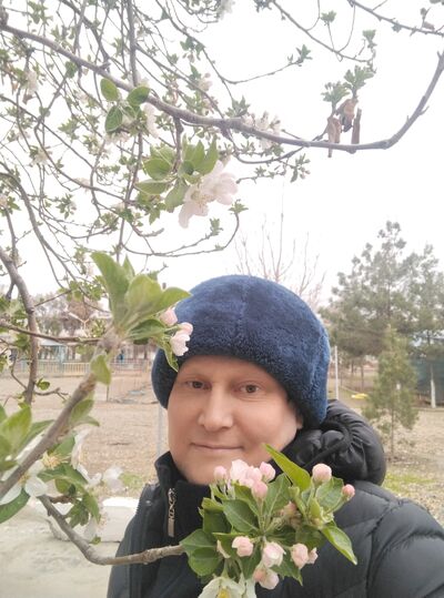  ,   , 43 ,   , c , 