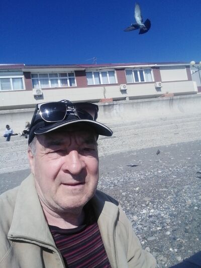  --,   McCar, 65 ,   ,   , c , 